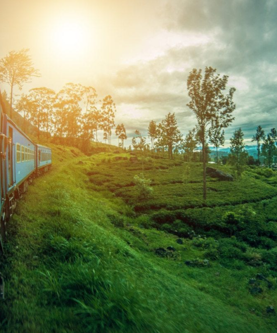 Nature & Culture - Platinum <br>Package