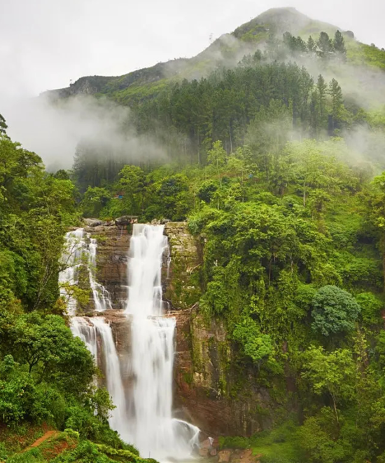 Cool Vacation - Silver Package