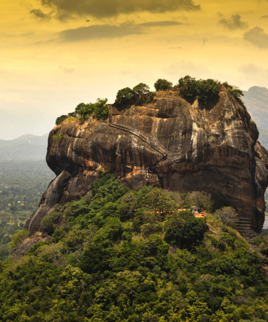 Nature & Cultural - Gold Package