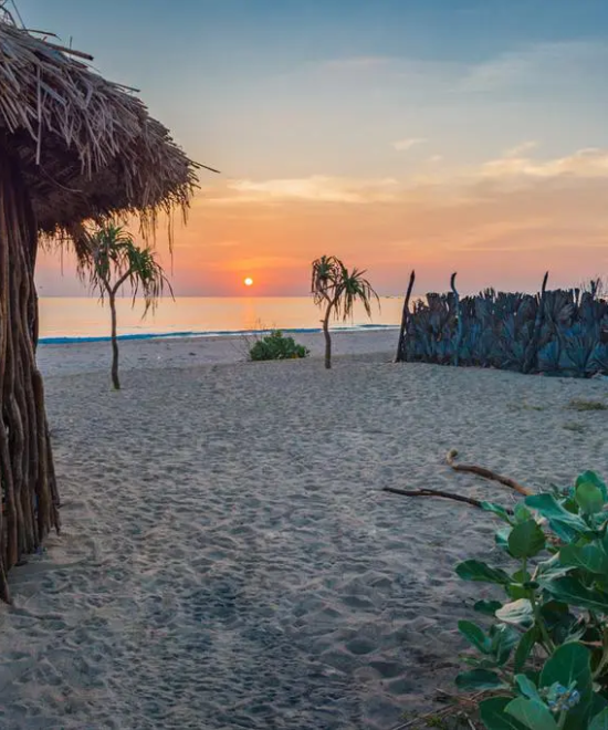 Beach Lovers - Silver Package