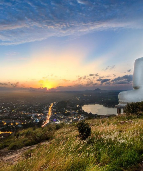 Nature & Culture - Silver Package